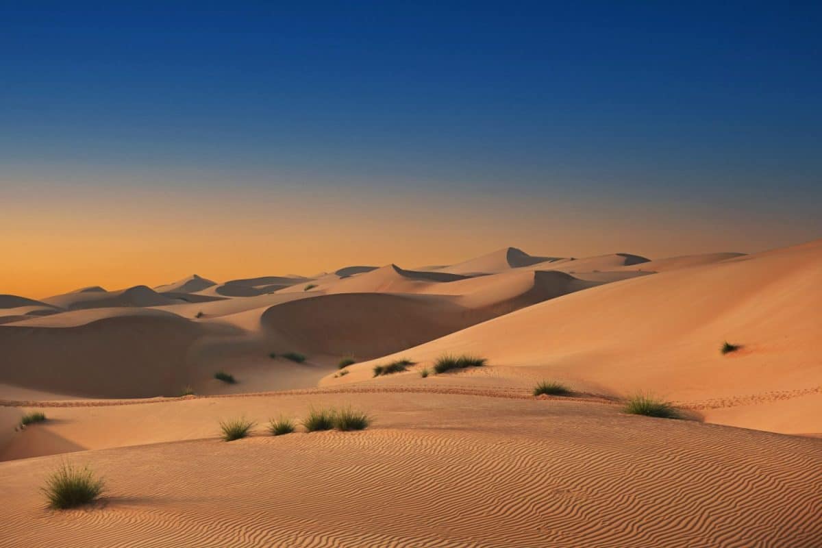 From the soft hues of the sand dunes to the shark beauty of the landscape. this photo is captured in Oman wahiba sands. ideal for travel brochures, inspiration quotes or background imagery or framing