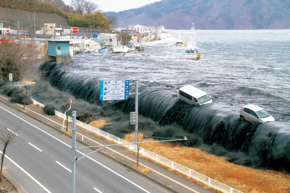 Tohoku tsunami