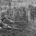 The Semi-Auto Rifle That Gave American Troops a Major Edge in World War II
