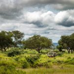 The Contagious Giggles that Spread Through a Tanzanian Village