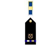 12. Chief Warrant Officer (CWO-1)