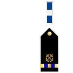 14. Chief Warrant Officer (CWO-3)