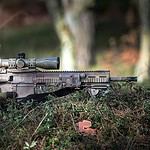 13. Heckler & Koch HK 417