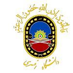 17. Imam Ali Officers Academy, Iran