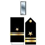 18. Lieutenant Junior Grade (LTJG/O-2)