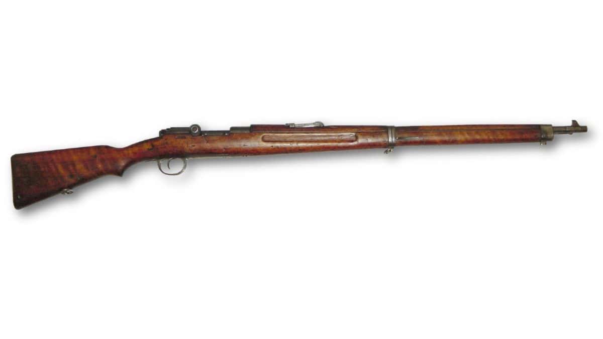 This German Service Rifle Was Effectively the First Assault Rifle ...