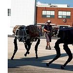 Robot dog