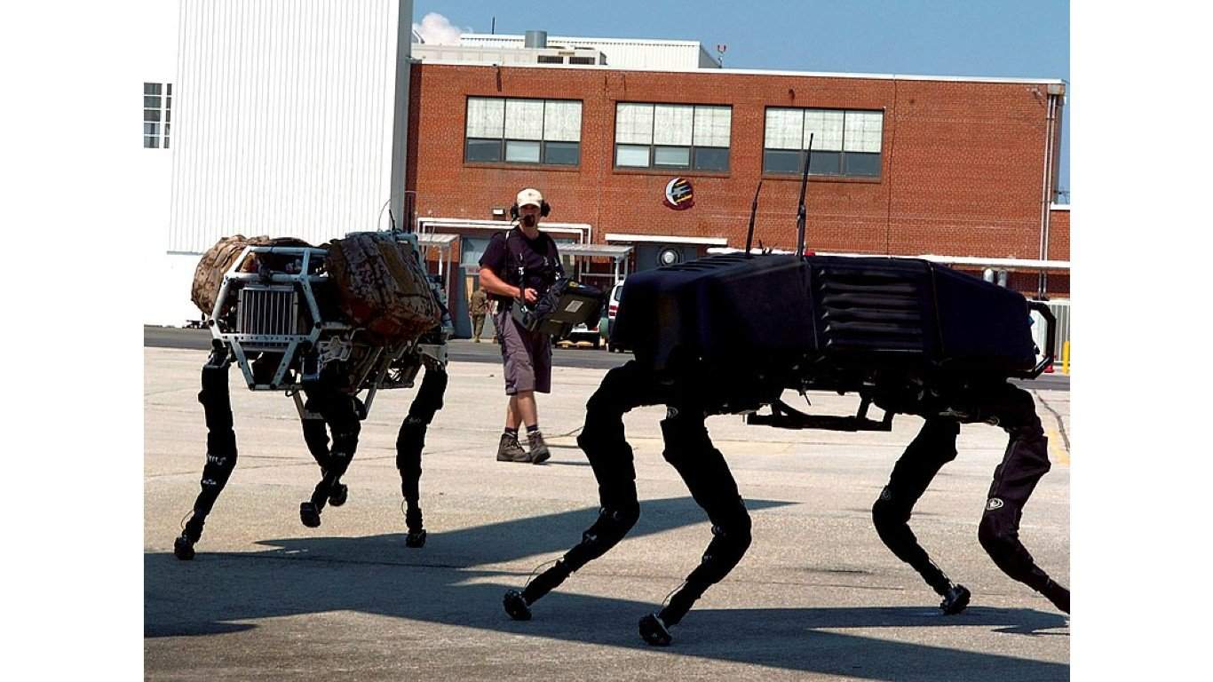 Robot dog