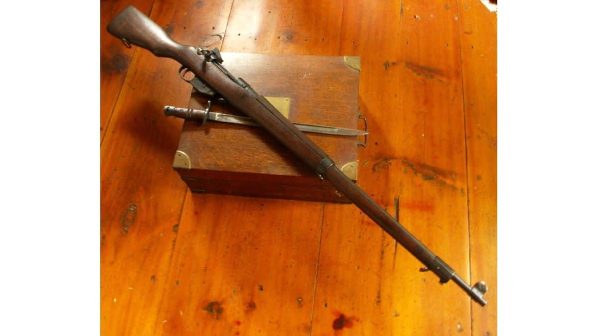 What Rifles Won World War 2? - History-Computer