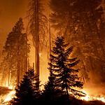 9. Western Wildfires