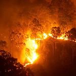 6. Western Wildfires – California, Oregon, Washington Firestorms