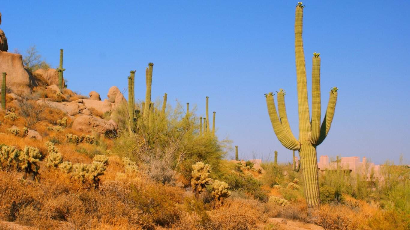 16. Arizona