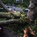 16. Hurricane Isaias