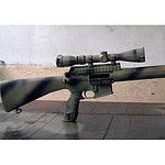 16. GA MSSR (Marine Scout Sniper Rifle)