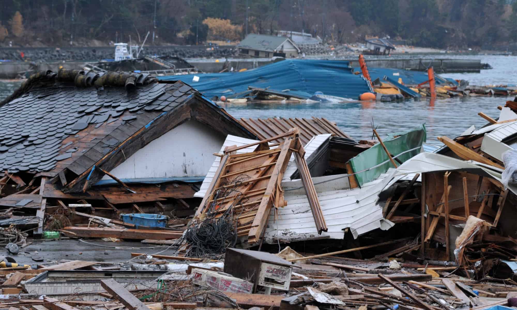 Tōhoku Earthquake and Tsunami