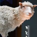 1996: $ 287.96 billion