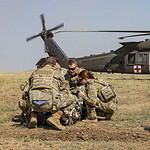 Workhorses vs Specialized Platforms