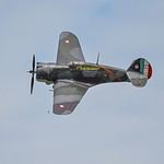 P-36 Hawk