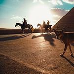 #13 Which African country has the most pyramids?