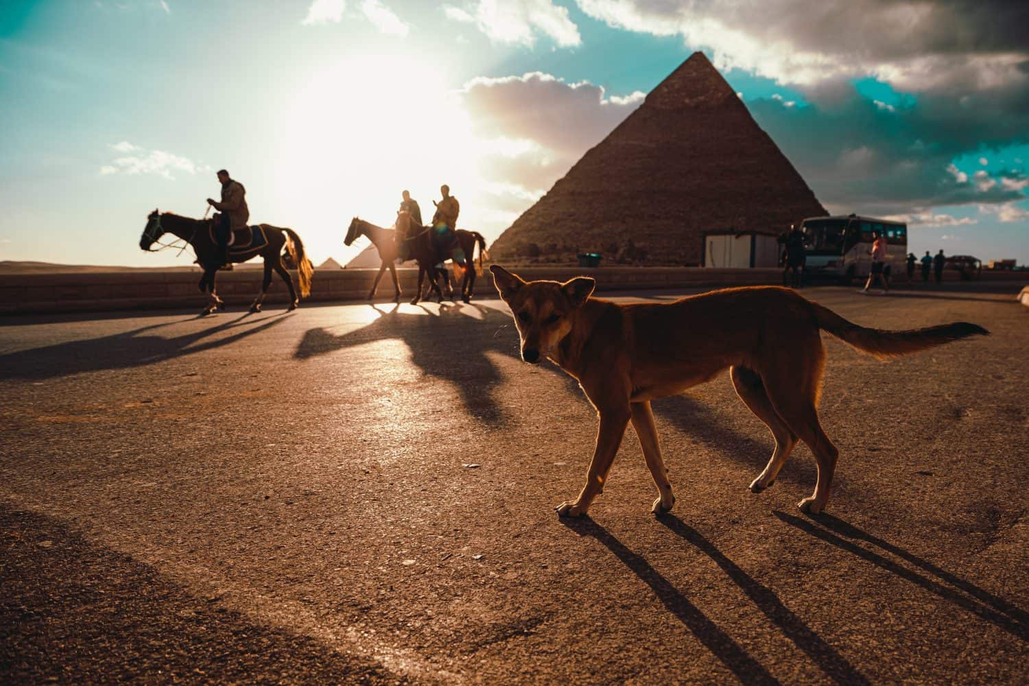 #13 Which African country has the most pyramids?