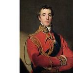 35. Arthur Wellesley