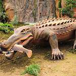 Where did Barinasuchus live?