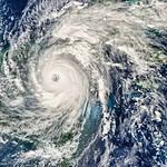 49. Marco Shores-Hammock Bay, FL