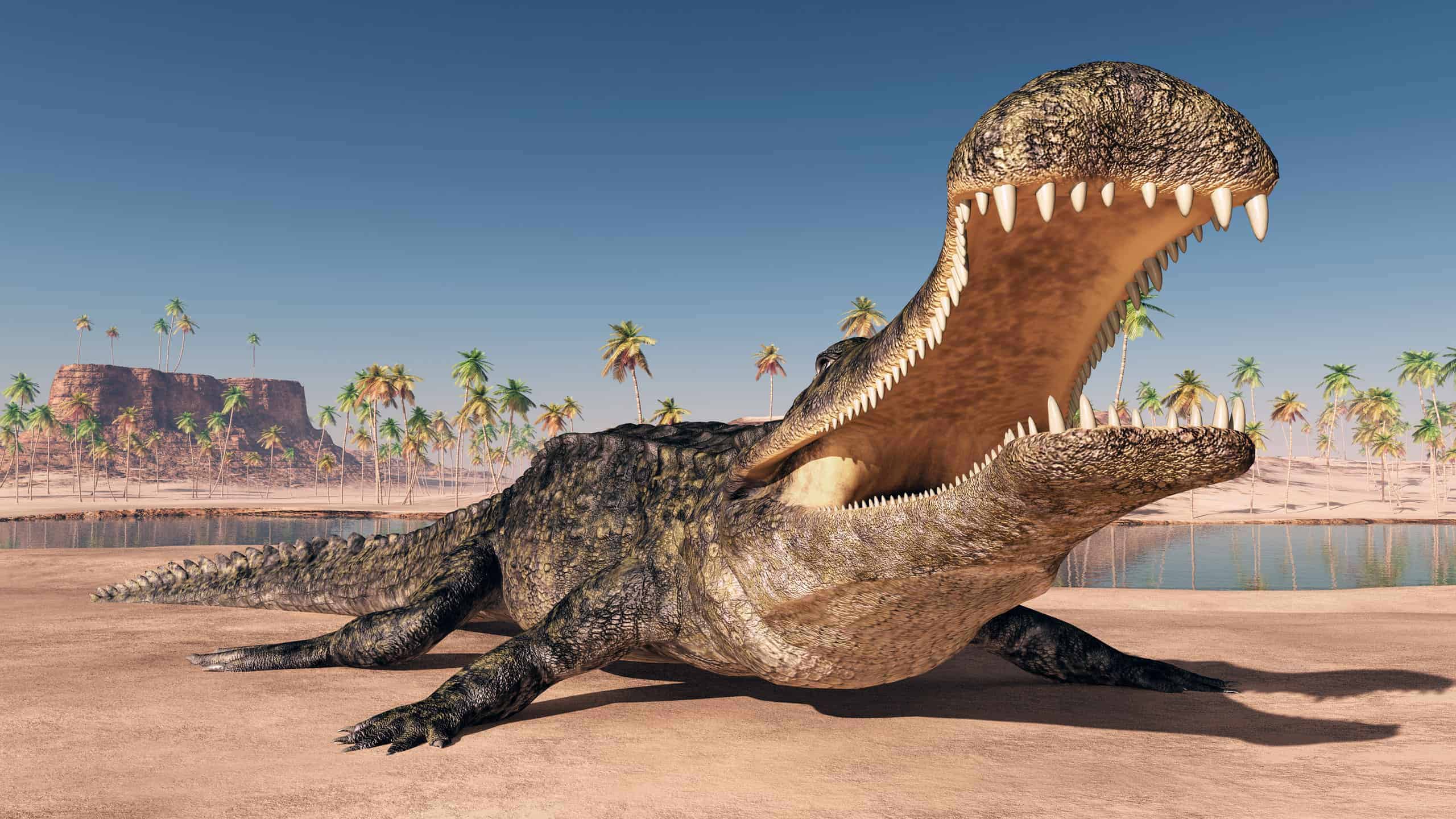 This Ancient Crocodilian Was Absolutely Massive