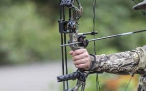 Hunting - Sport, Archery, Deer, Archery Bow, Target Shooting