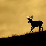 Reliability in Any Environment