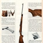 5. Savage Arms
