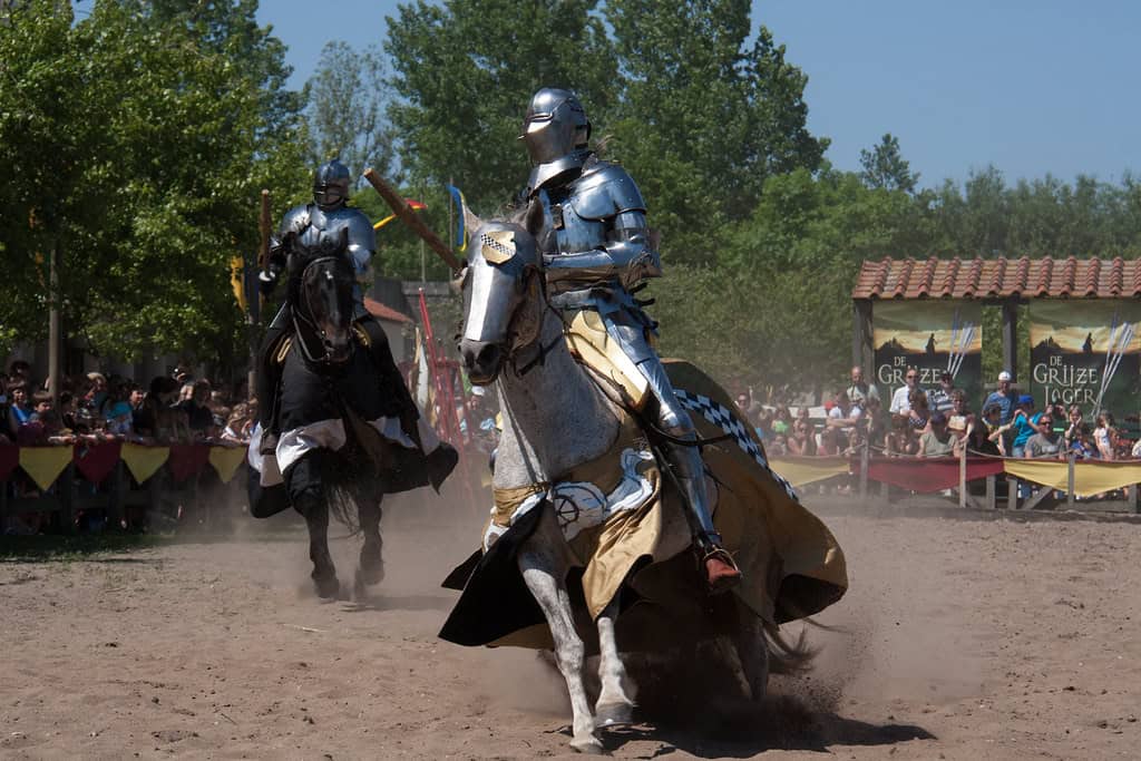 Knights Were Intended Solely for Warfare