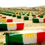 8. Anfal Campaign