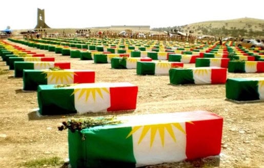 8. Anfal Campaign