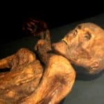 14. Otzi The Iceman