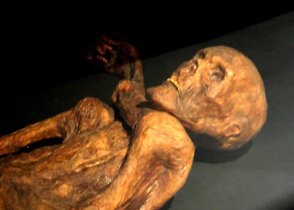 14. Otzi The Iceman
