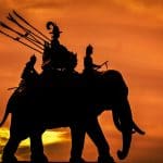War Elephants