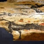 6. Lascaux Cave Paintings