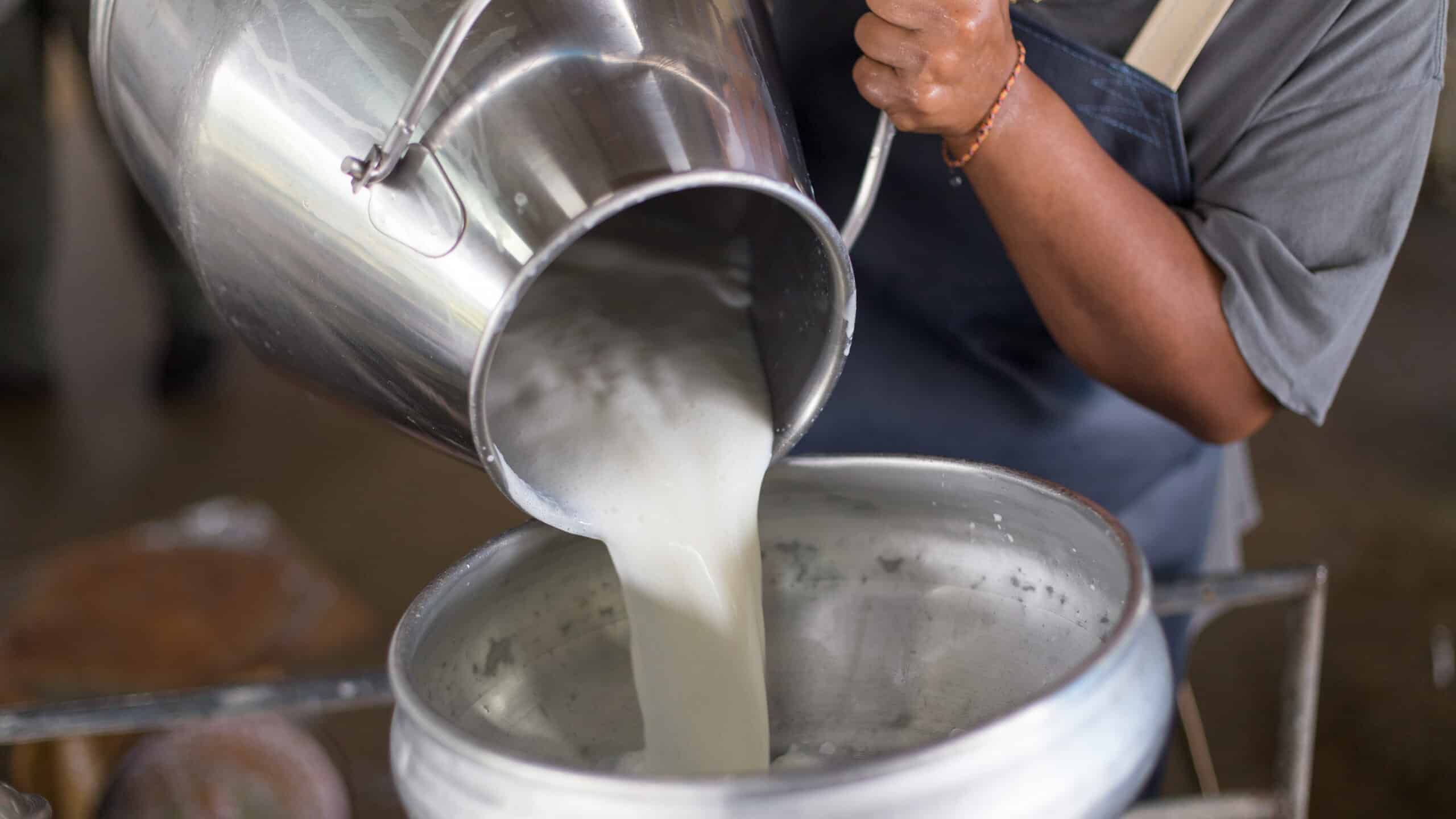 Canned Milk