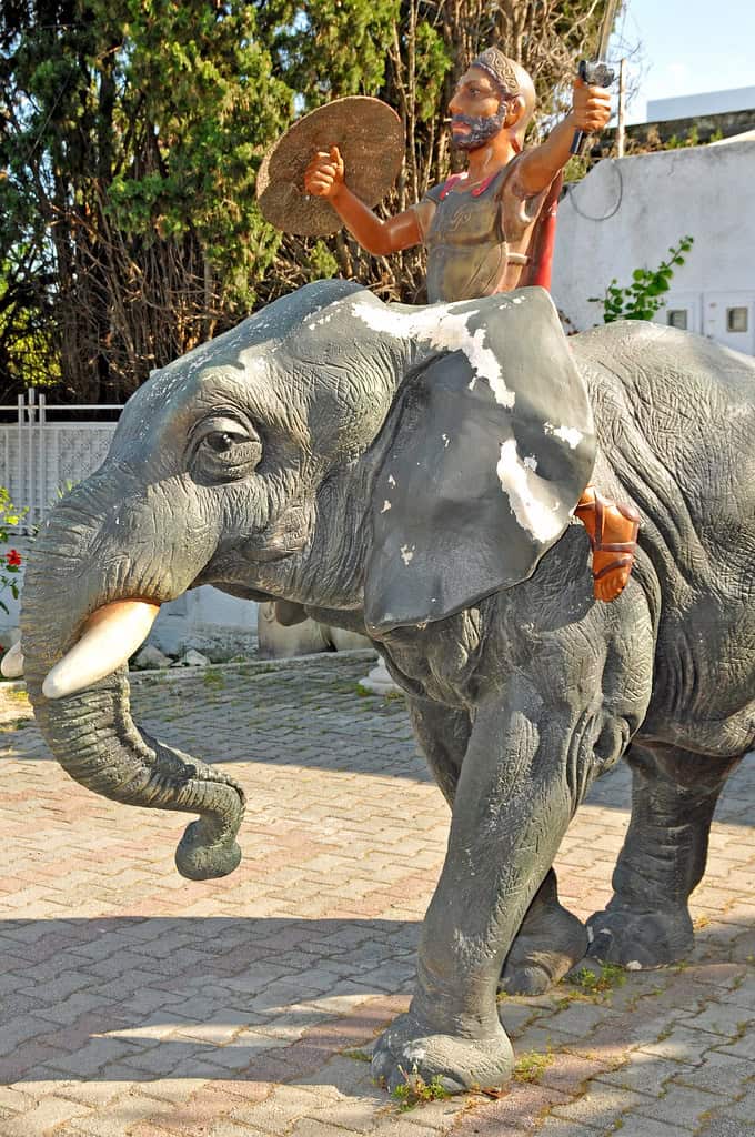 Tunisia-3016 - Hannibal