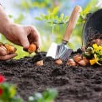 #6 What causes the seasons on Earth?