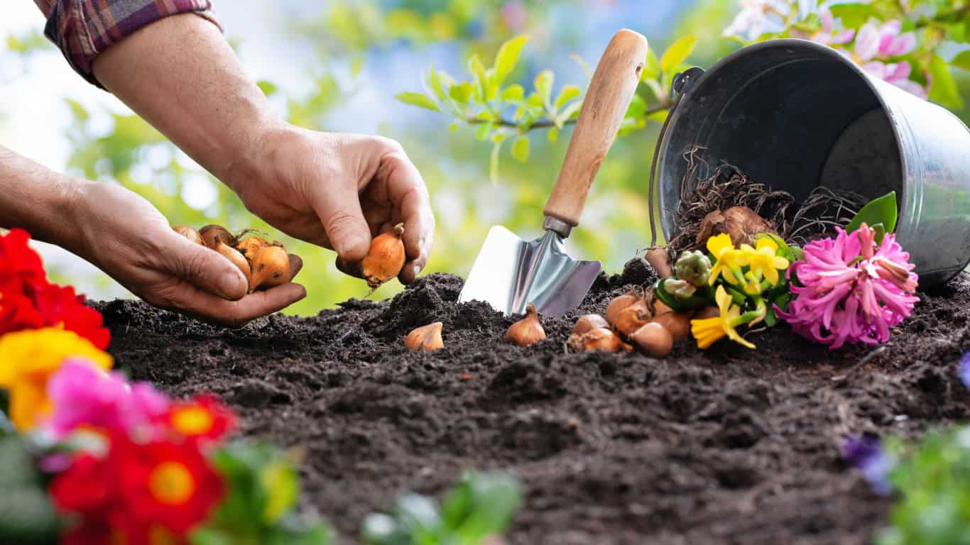 #6 What causes the seasons on Earth?