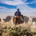 17 Moments That Changed America Almost Overnight