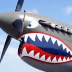 Thunderbolt and Lightning: U.S. WW2 Fighters Pair Heavy Firepower with 660+ kmh Speed