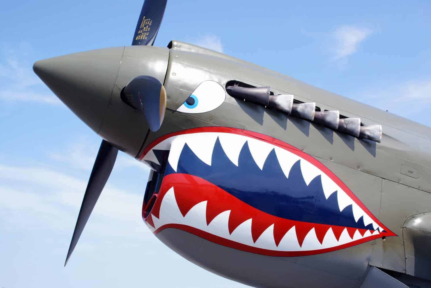 Thunderbolt and Lightning: U.S. WW2 Fighters Pair Heavy Firepower with 660+ kmh Speed