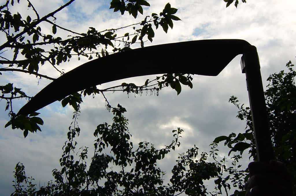 Scythe for sore eyes