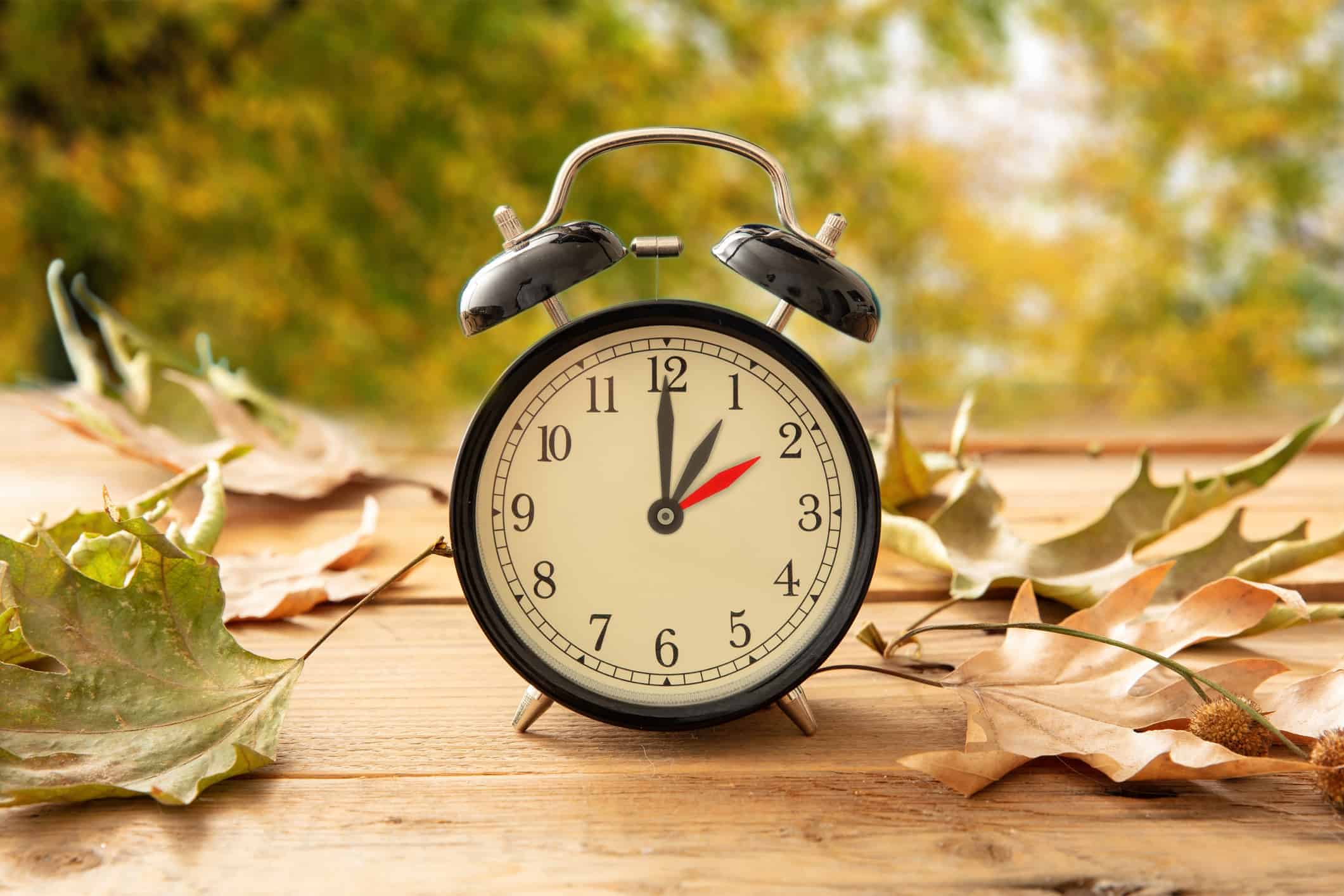 Mechanical Clocks
