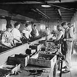 The Assembly Line