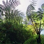 Fighting Where Visibility Disappears