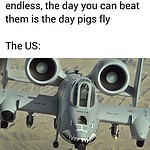 When the Warthog Flies